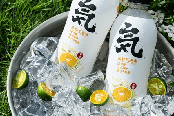 小程序旗艦店，完整拆解元氣森林布局私域全流程